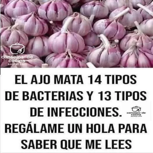 El Ajo: Un Antibiótico Natural para Combatir Bacterias e Infecciones rQvfgXD