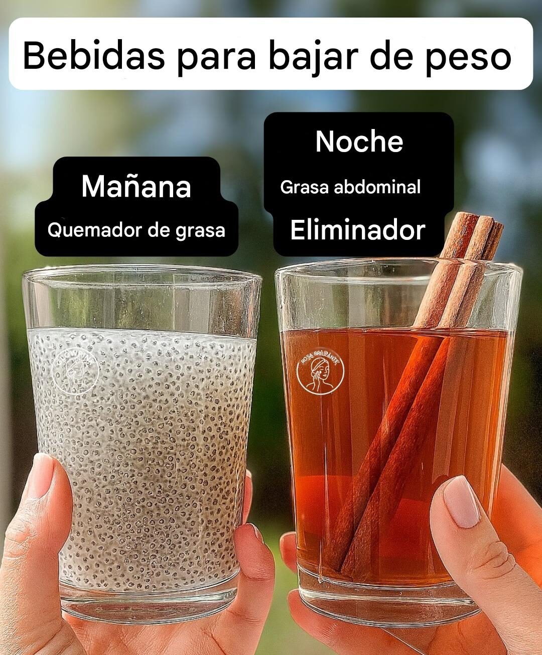 Bebida para bajar de peso: Elixir de Miel y Canela para un Metabolismo Óptimo 550568130_2646790969006551_4212030325957637610_n
