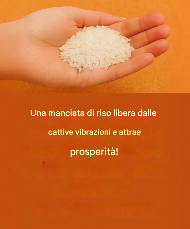 Il sorprendente potere del riso: un alleato nascosto nella tua casa 529657009_122279560040222474_9125042236554663291_n