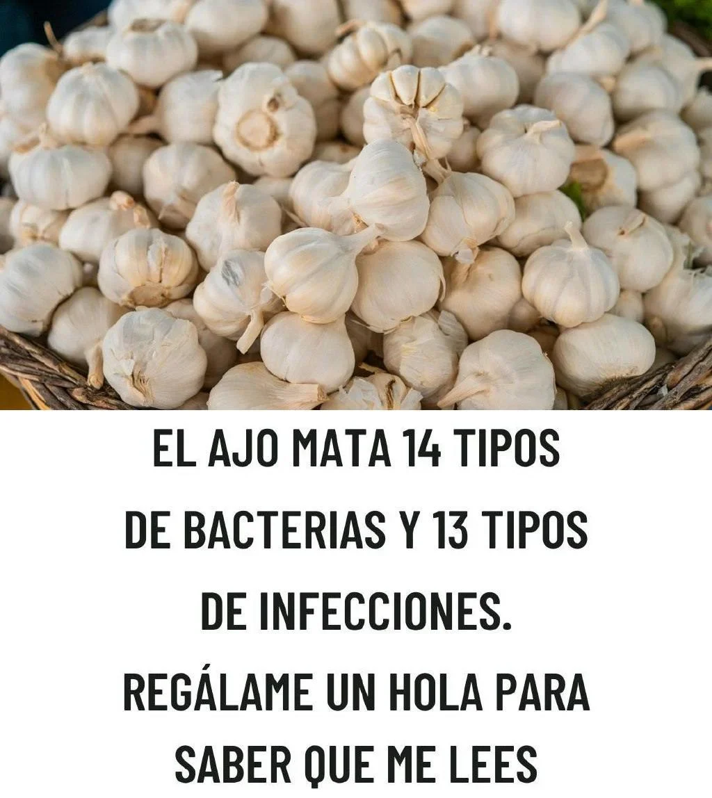 El Ajo Mata 14 Tipos de Bacterias: El Antibiótico Natural que Debes Conocer hxkrmLH