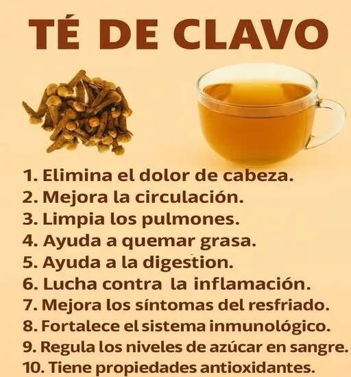 ¡Despierta Tu Cuerpo Entero: El Té de Clavo que Revoluciona Tu Bienestar Diario! image-2025-11-04T021739.029