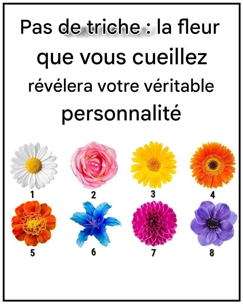 Pas de bavardage. La fleur que vous cueillez révélera votre véritable trait de caractère 572962156_2661721867510122_4306898277315189060_n-5-1