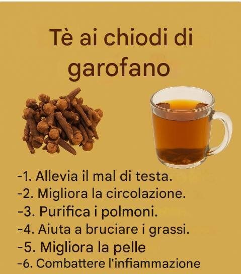 “Tè ai chiodi di garofano: benefici, ricette e precauzioni” 586695884_1509195967055911_315840257021525378_n-1