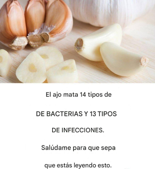 Receta de ajo para infecciones y bacterias PKTv15i-1