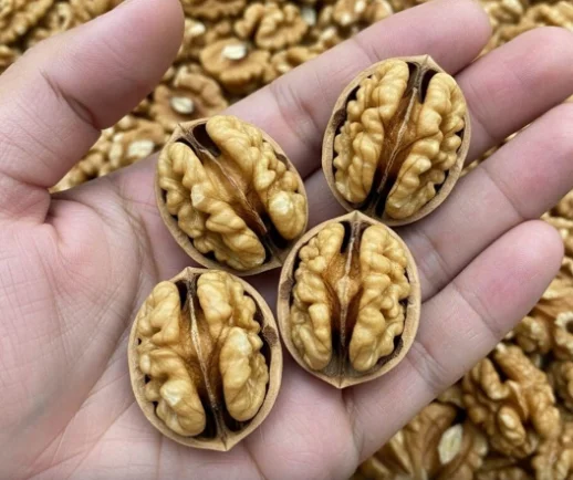 Beneficios comprobados de las nueces para la salud, cuántas consumir y más (basado en la ciencia) oAVN3h0
