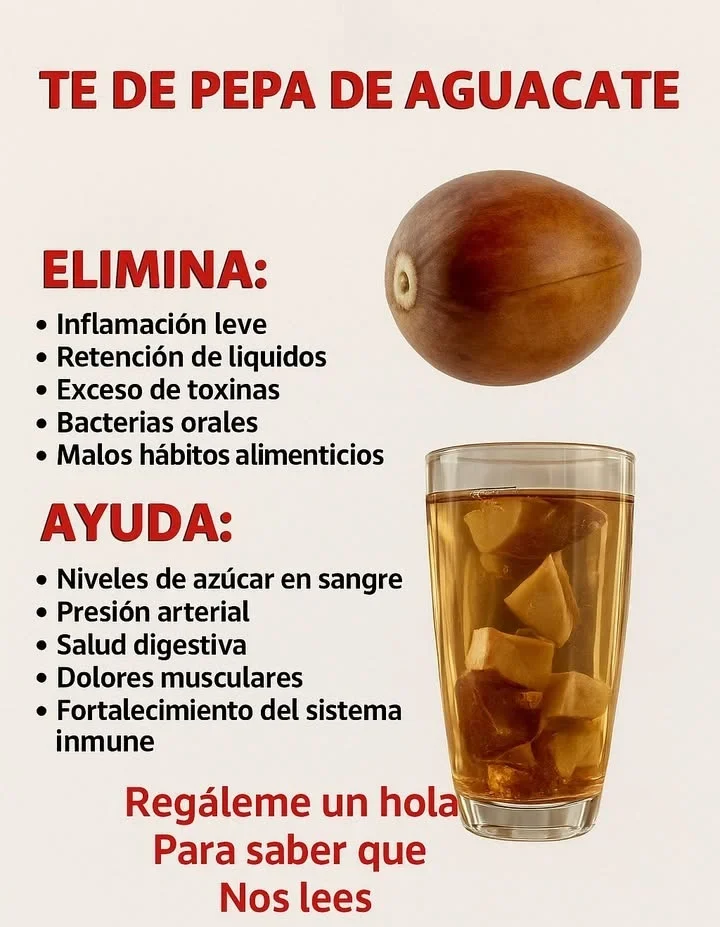 Té de Semilla de Aguacate: El Tesoro Natural que Limpia, Fortalece y Rejuvenece tu Cuerpo p3PFOzg