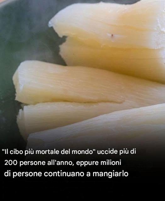 Il cibo più letale al mondo uccide 200 persone all’anno 0cbca338-830c-4a57-83a8-06211412f285