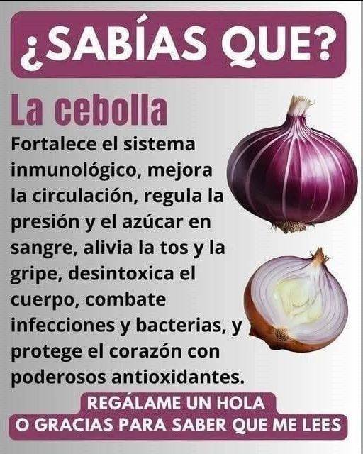 Los increíbles beneficios de la cebolla: mucho más que un ingrediente en la cocina Los increíbles beneficios de la cebolla mucho más que un ingrediente en la cocina
