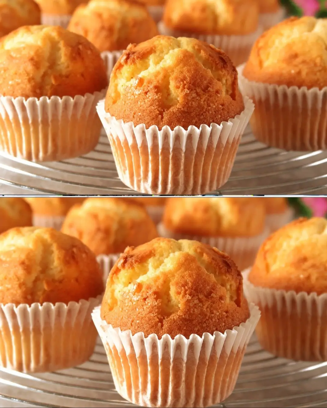 Muffins Caseros Esponjosos Muffins Caseros Esponjosos