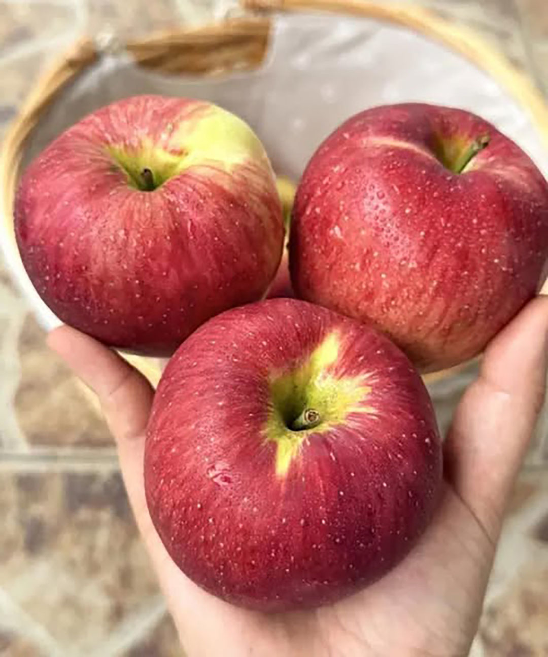 Quels sont les bienfaits des pommes Quels sont les bienfaits des pommes