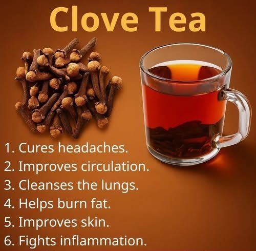 The Ancient Spice in Your Kitchen 18 Ways Clove Tea Nourishes Health, Metabolism, and Longevity