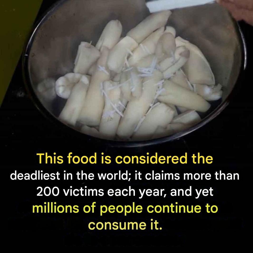 “The world’s deadliest food” kills more than 200 people a year, but millions continue to consume it. “The world’s deadliest food” kills more than 200 people a year, but millions continue to consume it.