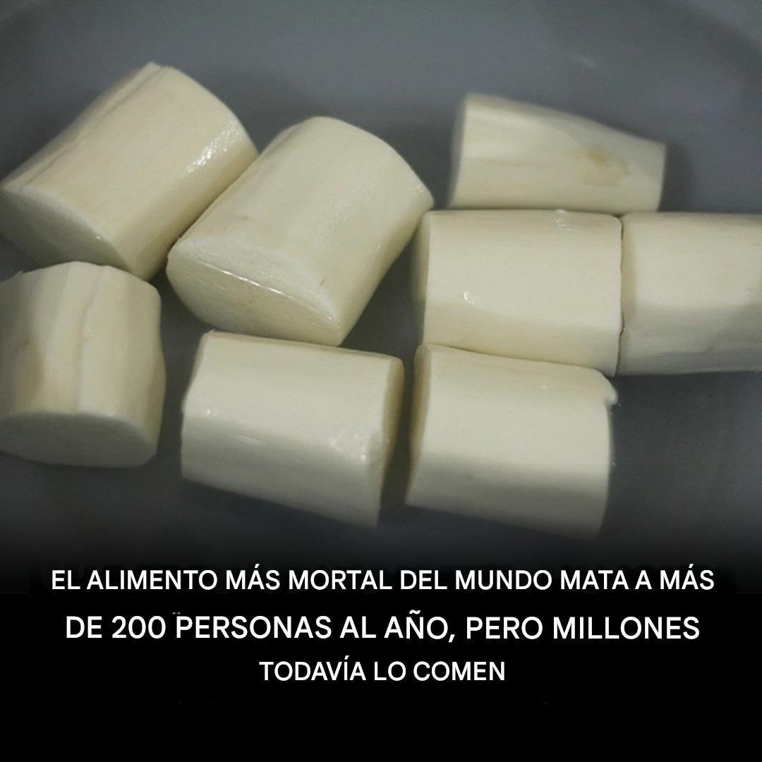 Una planta vital… y potencialmente letal: la paradoja del oscurecimiento de este alimento Una planta vital… y potencialmente letal la paradoja del oscurecimiento de este alimento