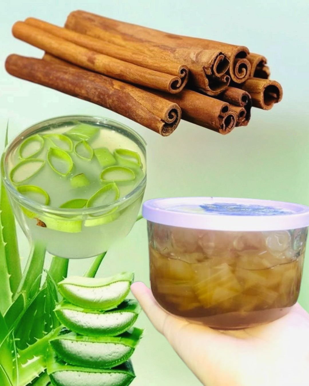 Aloe vera con canela el remedio casero que cuida tu salud y tu vista