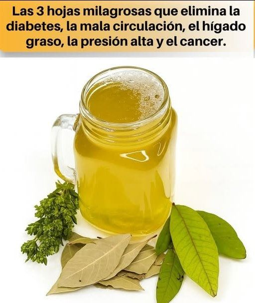 El Tónico de Hojas Maestras Guayaba, Orégano y Laurel (Soporte Integral)