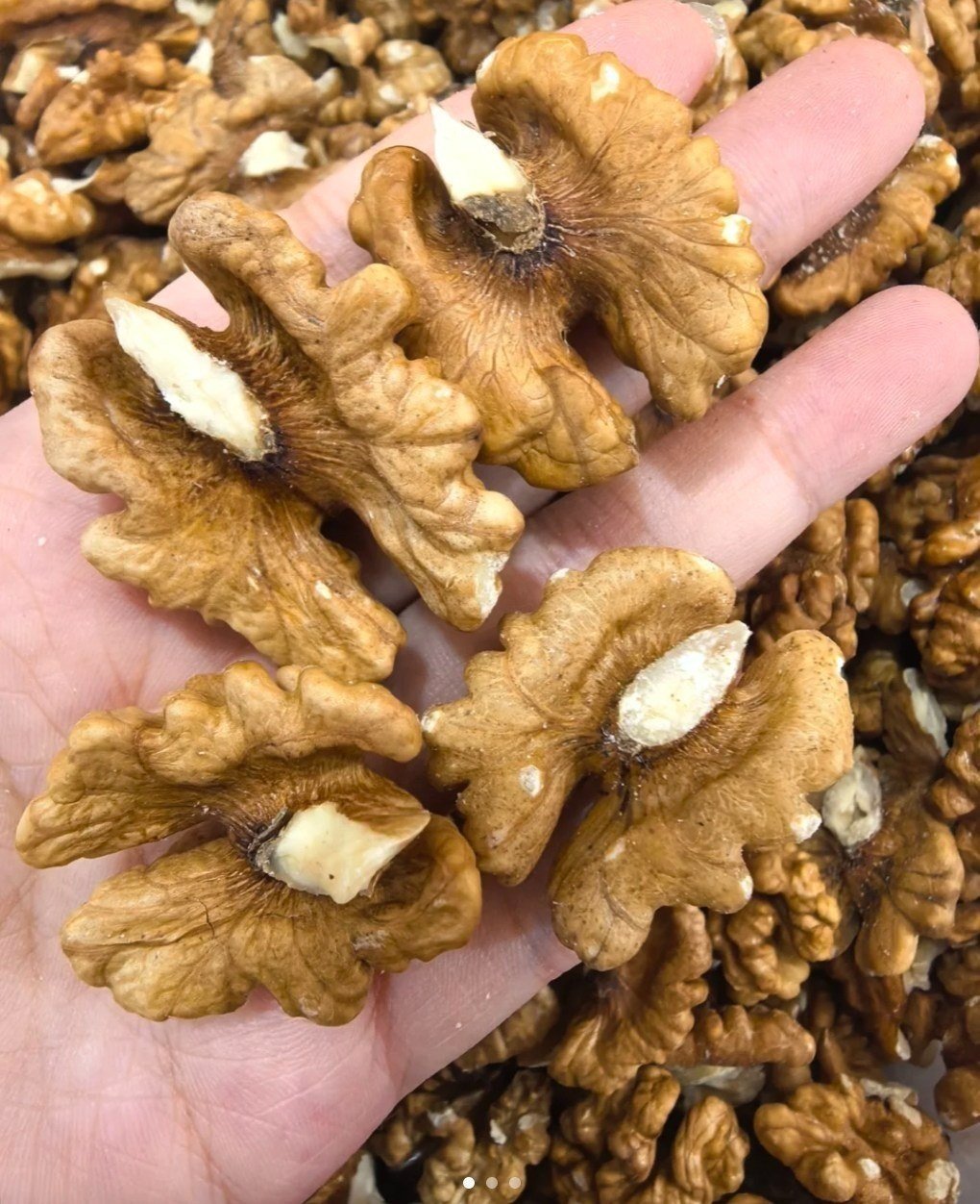 I medici rivelano che mangiare noci provoca... 621792178_1990835448982354_1831866359667245916_n-1