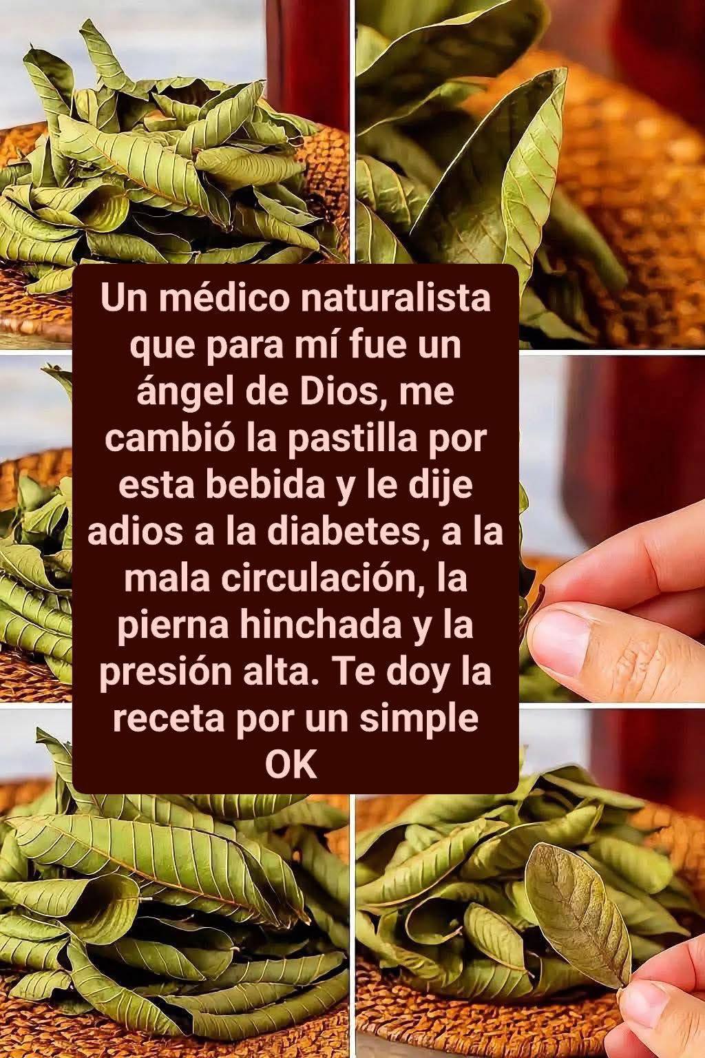 Laurel y Canela: Una combinación poderosa para tu salud 631740507_1459462549083479_5550167673383342499_n