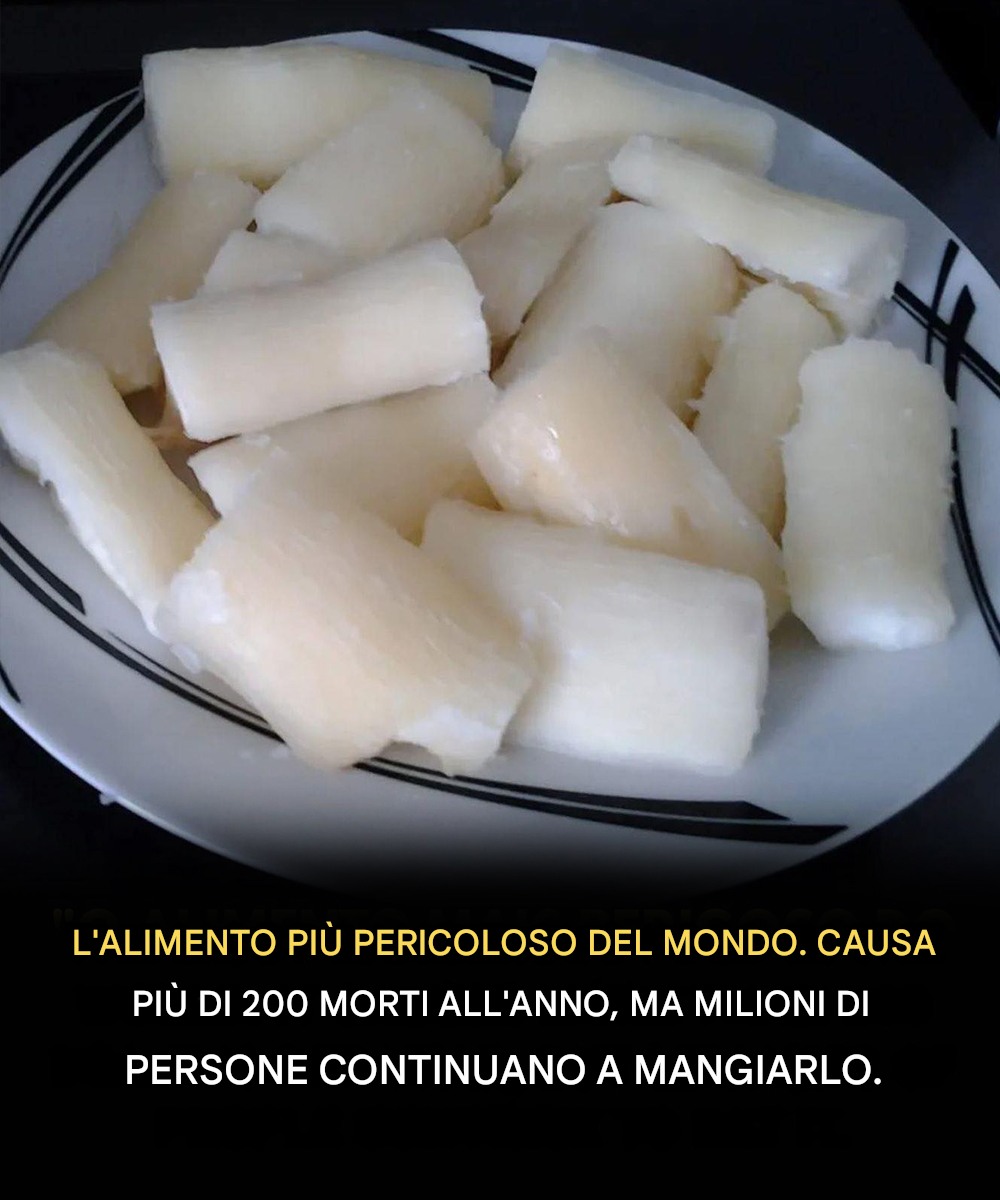 Tossico se preparato in modo improprio: l'altro lato di un alimento ampiamente consumato in tutto il mondo 650188110_942197571724195_5946192636617738434_n