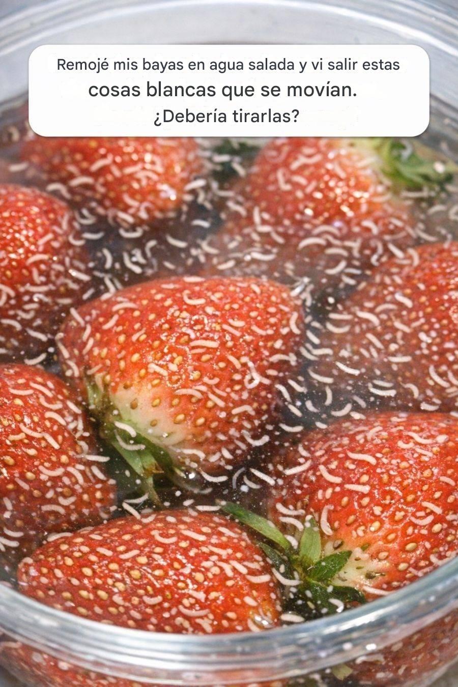 VkhzoL0
