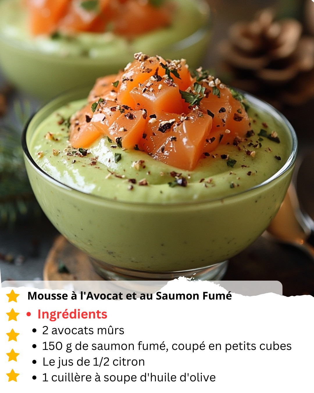 Mousse de Noël à l’avocat et au saumon fumé 702298145_955566050588240_387043774116699861_n
